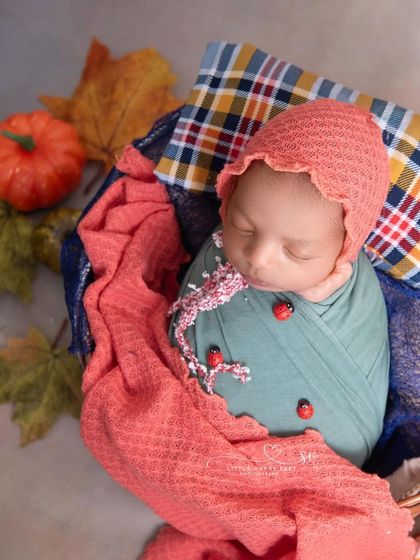 A little gentleman with his lucky ladybugs, ready for autumn. The mix of plaid, warm colors, and a tiny pumpkin creates a cozy and festive fall portrait.