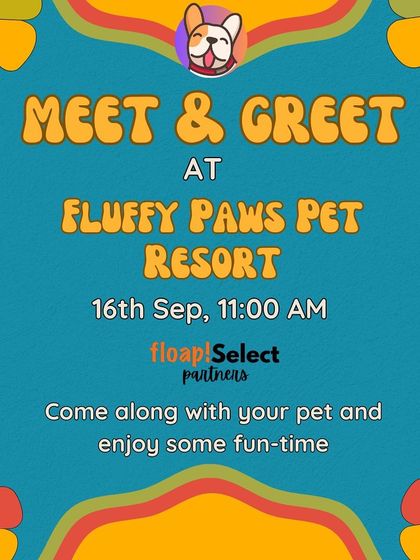 Poochkoo - Pet Events & Parties Breed Meetups & Socials photo 6