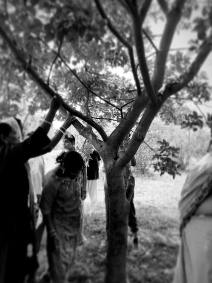 A quiet moment of connection with nature during an art residency. The tree, making a million choices every moment, reminds me of my own path and the choices I make in my art and life.