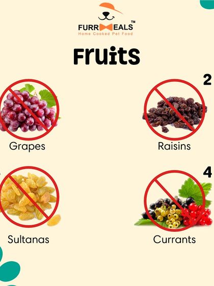 Not all human foods are safe for dogs. This guide shows seven common fruits and vegetables, like grapes and onions, that you should never feed your pet to avoid potential toxicity.