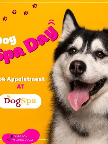 It's time for a Dog Spa Day! Book an appointment and treat your best friend to a day of pampering and professional care. They will thank you for it with happy wags.