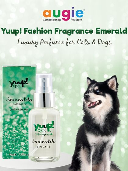 Augie Pets - Pet Supplies Spa Day at Home: Gentle Grooming Essentials photo 19