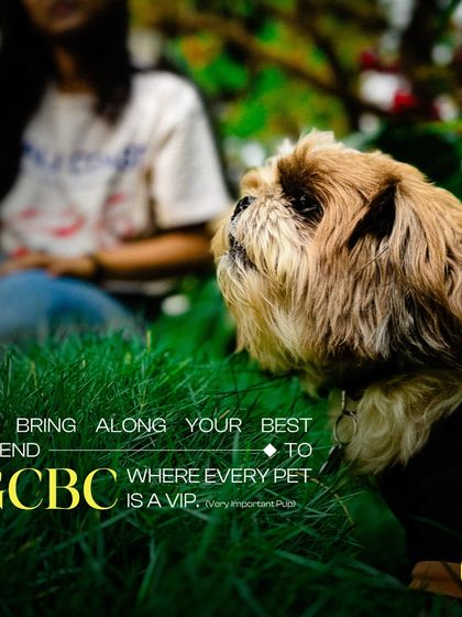 Every pet is a VIP here, a Very Important Pup. I ensure they have a great time, just like their owners.