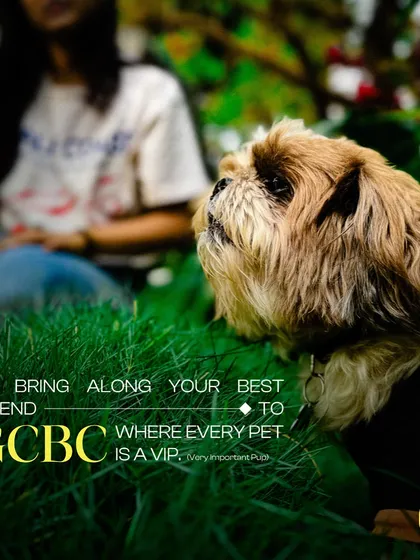 Bring your best friend along, because here every pet is a VIP: a Very Important Pup. I ensure they are just as comfortable and happy as you are.