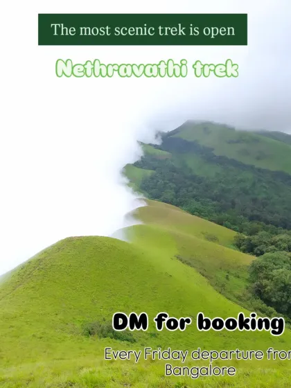 A classic view of the Nethravathi peak, often called the most scenic trek for its rolling green carpets.