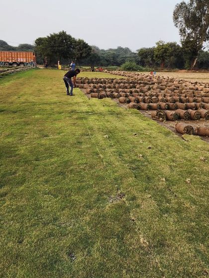 Delhi Gardner - Full-Service Landscaping Premium Lawn & Turf Solutions photo 40