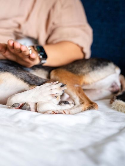 A close-up on Choco's paws as she rests. This detailed shot highlights her unique beauty and the story of survival written in her very being.