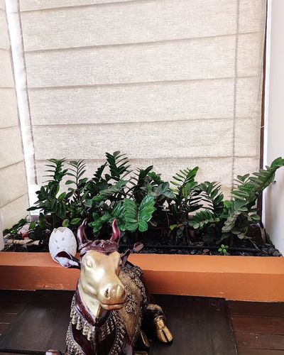 Balcony Transformations