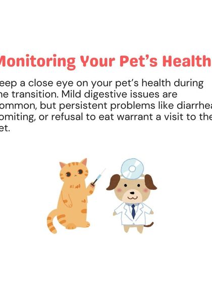 Woofly - Home Veterinary Services Nutrition & Diet Advice photo 9