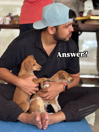 A participant sits cross-legged on a yoga mat, holding two adorable indie puppies in his lap.