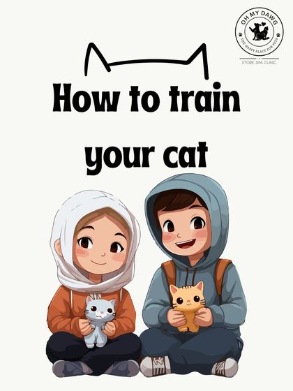 Oh My Dawg - Pet Supplies For New Pet Parents photo 23