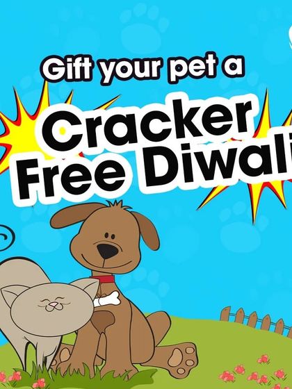 Give your pet the gift of a peaceful, cracker-free Diwali. Bring them to our resort, far from the city chaos, for a tranquil festive retreat.
