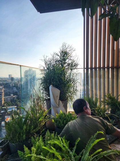 You can never have too many plants. Here's one of our team members working on a dense, layered balcony garden, proving that more is better when it comes to creating a lush escape.