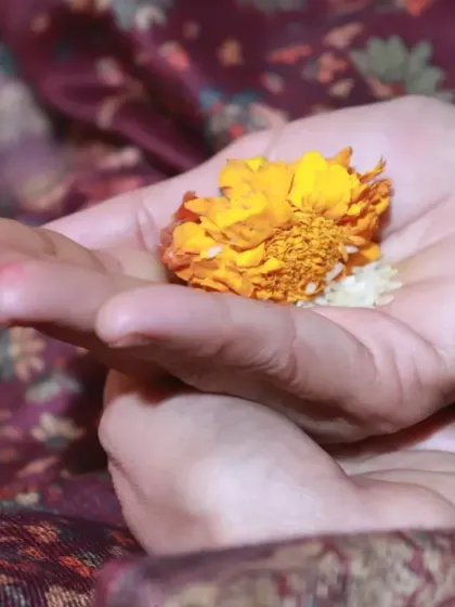 A participant holds a flower offering during a puja, a simple yet profound act of devotion and surrender.