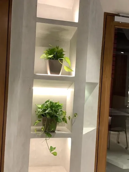 These simple pothos plants, placed in softly lit wall niches, add a touch of elegance and life to an otherwise plain corridor, proving that good design is in the details.