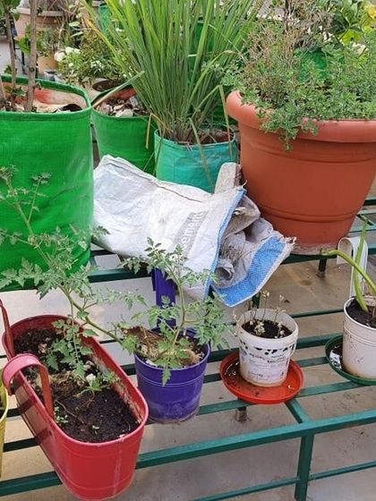 The Garden Hub - Garden Maintenance Garden Stands & Terrace Protection photo 14