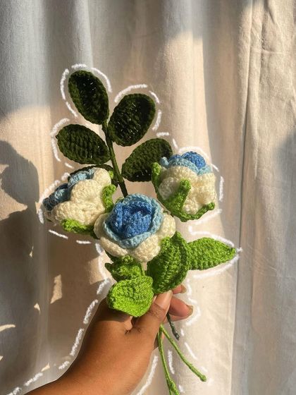 A small bunch of the blue and white gradient roses, showing how they look together as a small bouquet.