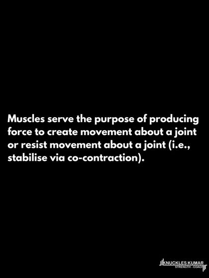 Training on unstable surfaces is one of the most pointless things you can do for athletic performance. It limits your ability to produce force and power, which are the very qualities you're in the gym to develop. The best way to improve stability for a sport is to play the sport.