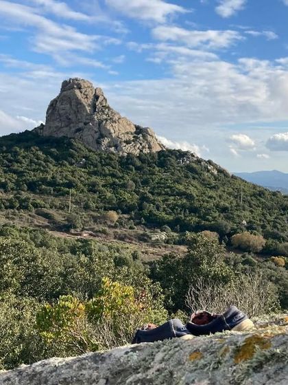 The stunning natural landscape of Sardinia, Italy, with its unique rock formations. Even the local wildlife, like this friendly cat, adds to the charm and tranquility of the retreat.