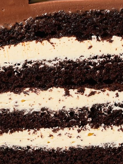 A macro shot of the layers in the Chocolate Heaven cake. You can see the moist dark chocolate sponge and the creamy white buttercream in perfect harmony.