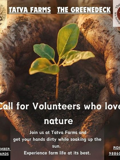 Greenedeck - Gardening Workshops & Consultation Hands-On Workshops & Farm Tours photo 5