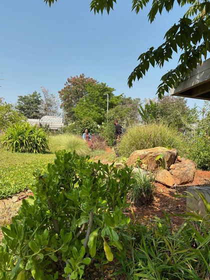 This image captures the wild, untamed beauty of a landscape designed for biodiversity. The mix of native shrubs, grasses, and trees creates a rich texture and provides a thriving habitat for local fauna.