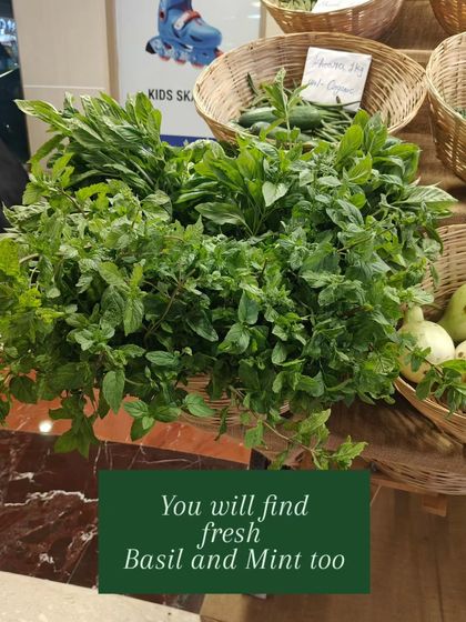 Along with basil for pesto, the mall's terrace garden also produces an abundance of fresh mint and other herbs, available for shoppers to purchase.
