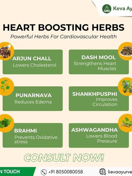 Support your cardiovascular health with powerful heart-boosting herbs. Arjun Chall helps lower cholesterol, while Ashwagandha can lower blood pressure as part of a holistic plan.