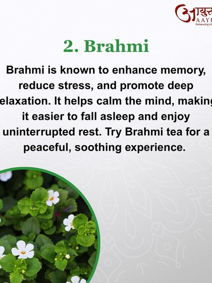 Brahmi is another excellent herb for promoting deep relaxation. It is known to enhance memory and reduce stress, making it easier to fall asleep and enjoy uninterrupted rest.