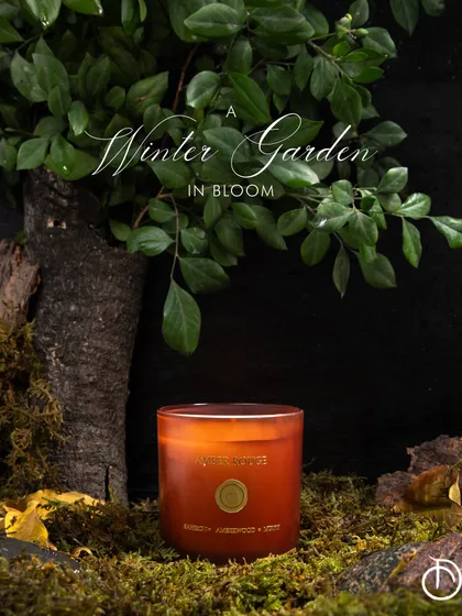 A winter garden in bloom. My Amber Rouge candle, with its warm notes of amber, sandalwood, and saffron, is perfect for indulging in the rich, woody aromas of the fall and winter seasons.