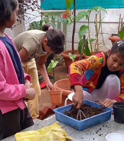 The Earth School - Montessori Primary & Elementary Program Hands-On Science & Nature Study photo 67