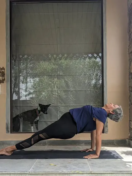 Self-practice helps us build awareness of our own body and breath. Here I am in Purvottanasana (upward plank pose), with a furry friend watching on.
