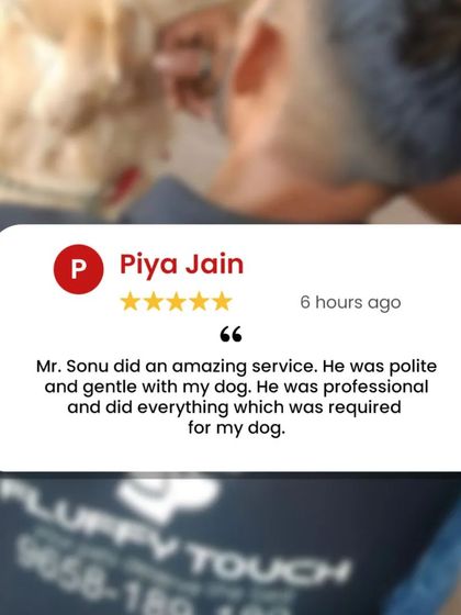 "Polite and gentle." This review from Piya Jain for Mr. Sonu's service is what Fluffy Touch is all about. Professionalism and a gentle approach are guaranteed.
