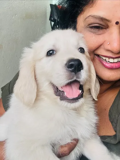 There's nothing like a happy puppy hug! We offer a gentle and nurturing environment for our youngest guests, ensuring they get all the care, socialization, and cuddles they need to thrive.