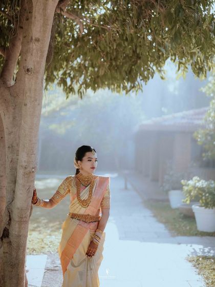 A bride standing by a tree in the soft morning mist, a serene and ethereal portrait.