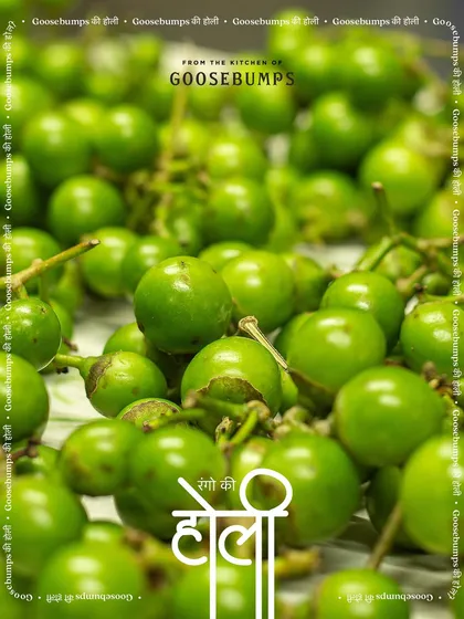 The vibrant green of gunda berries, one of the many colours in our kitchen during the 'Holi of Aachars'.