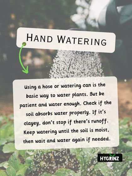 Hygrinz - Garden Maintenance Gardening Know-How: Tips & Techniques photo 16