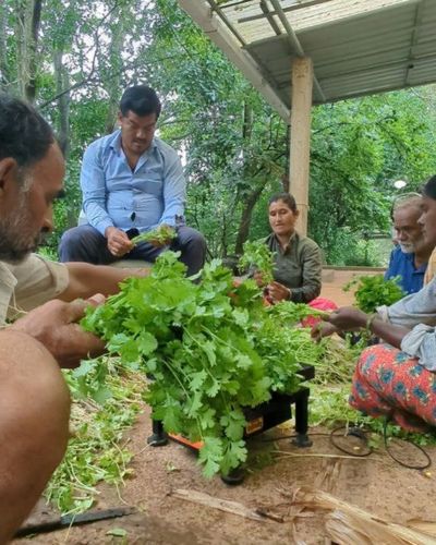 Organic Farm Experience
