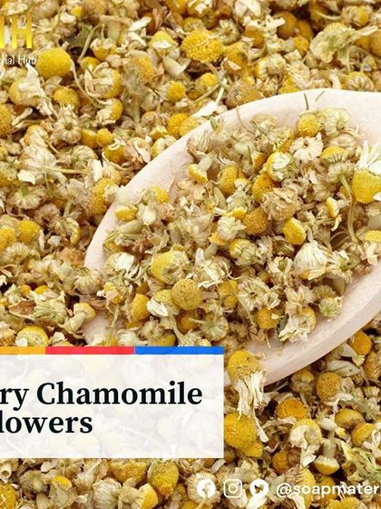 Our Dry Chamomile Flowers are known for their gentle, calming effects on the skin. They are a perfect botanical additive for products designed for sensitive skin, including facial steams, soaps, and lotions.