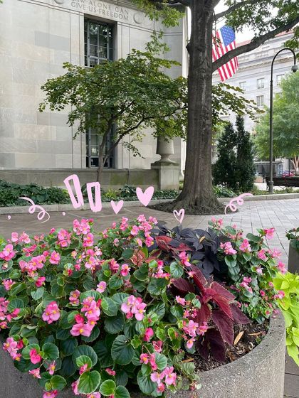 Vaishnavi Patel - Custom Photo & Video Art Travel & Adventure Doodles photo 122