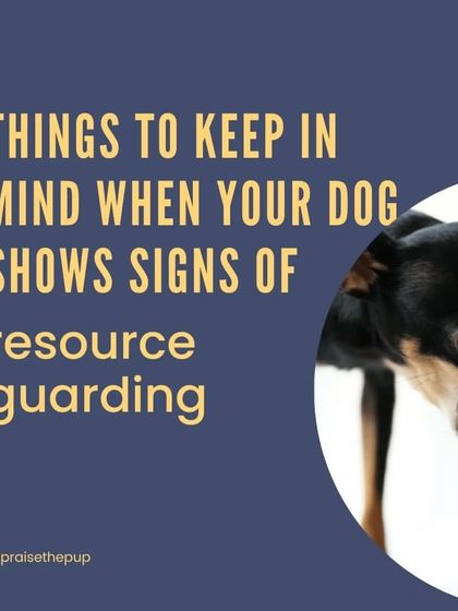 This graphic introduces key things to keep in mind when your dog shows signs of resource guarding. Understanding the behavior is the first step to addressing it safely and effectively.