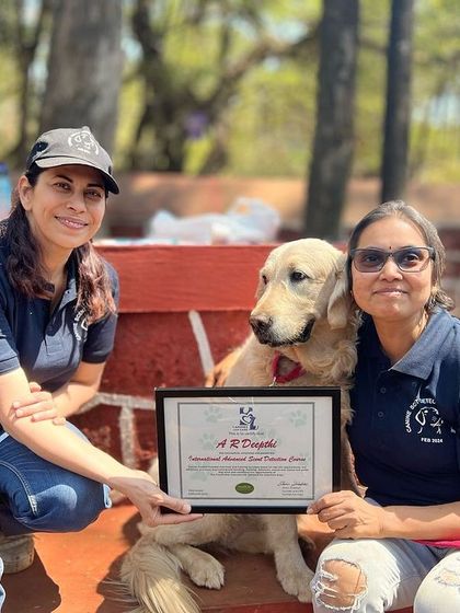 Deepthi - Dog Training & Behavior Modification My Credentials & Positive Training Philosophy photo 11