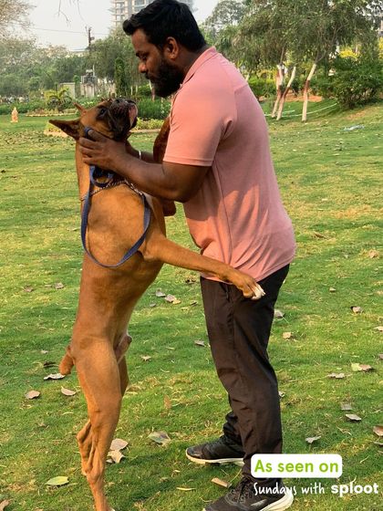 A moment of pure joy between a dog parent and his energetic pup at one of our park meetups. This is what it's all about.
