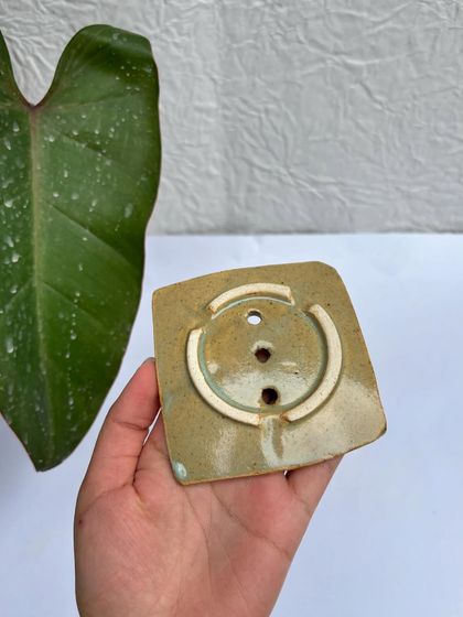 The bottom of our Green Celadon soap dish, showing the unglazed foot that keeps it stable.