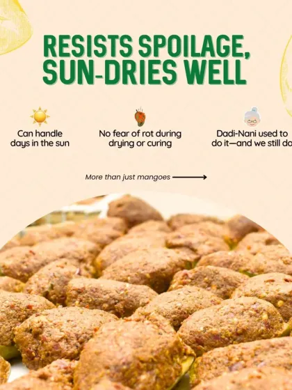 This mango variety resists spoilage and sun-dries well, which is crucial for our traditional process. It can handle days in the sun without rotting, a method our nani-dadi used and we still follow.