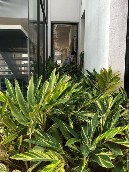 Sora Garden Design - Garden Maintenance Water-Wise & Dry Gardens photo 7