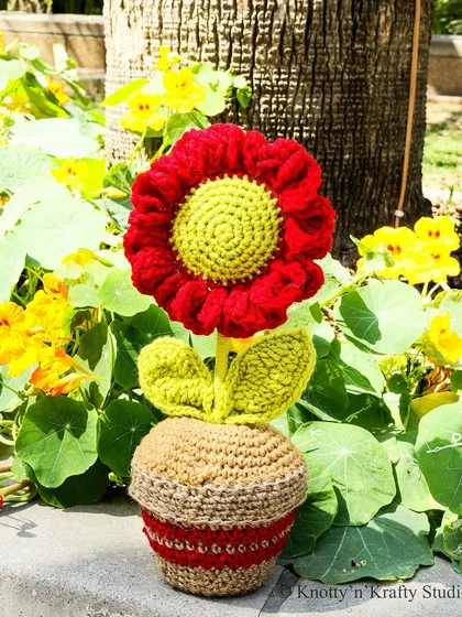 My Happy Flower in a Planter, enjoying the sunshine outdoors. The vibrant red petals and bright green center are crocheted to capture the cheerfulness of a real flower.