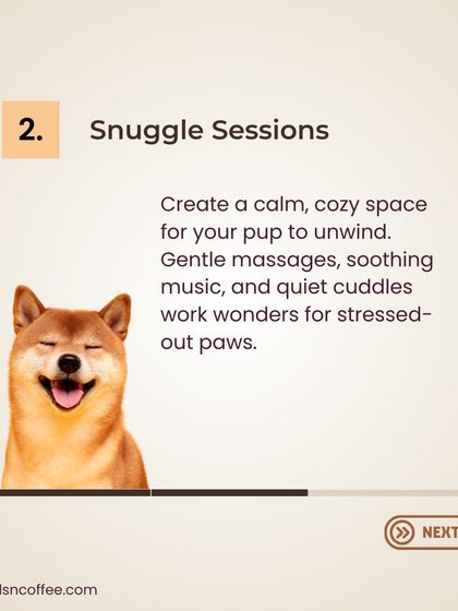 A calm pet is a happy pet. Tip 2: Snuggle Sessions. Create a cozy space for your pup to unwind with gentle massages, soothing music, and quiet cuddles to de-stress their paws.