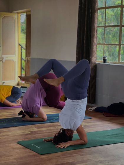 Students practicing inversions during an asana class. The group energy provides motivation and a shared sense of accomplishment.