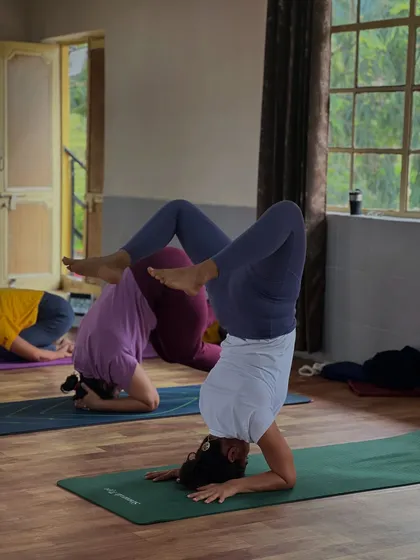Students practice inversions together during an asana class. The group energy in the TTC is motivating and helps everyone push their boundaries in a supportive environment.
